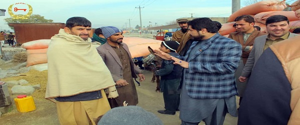جلال اباد ښاروال د ښاري نظم او ښاري ښکلا د لا ښه رامنځ ته کېدو په موخه جلال اباد ښار کې پلی وګرځیده ګ
