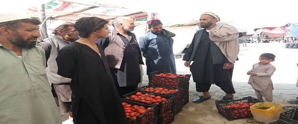 جلال اباد ښاروالۍ نهمې ناحيې امر ضياءالله ناصري په مشرۍ د يادې ناحيې اړوند نرخونو کنټرول او نرخامو تطبيق