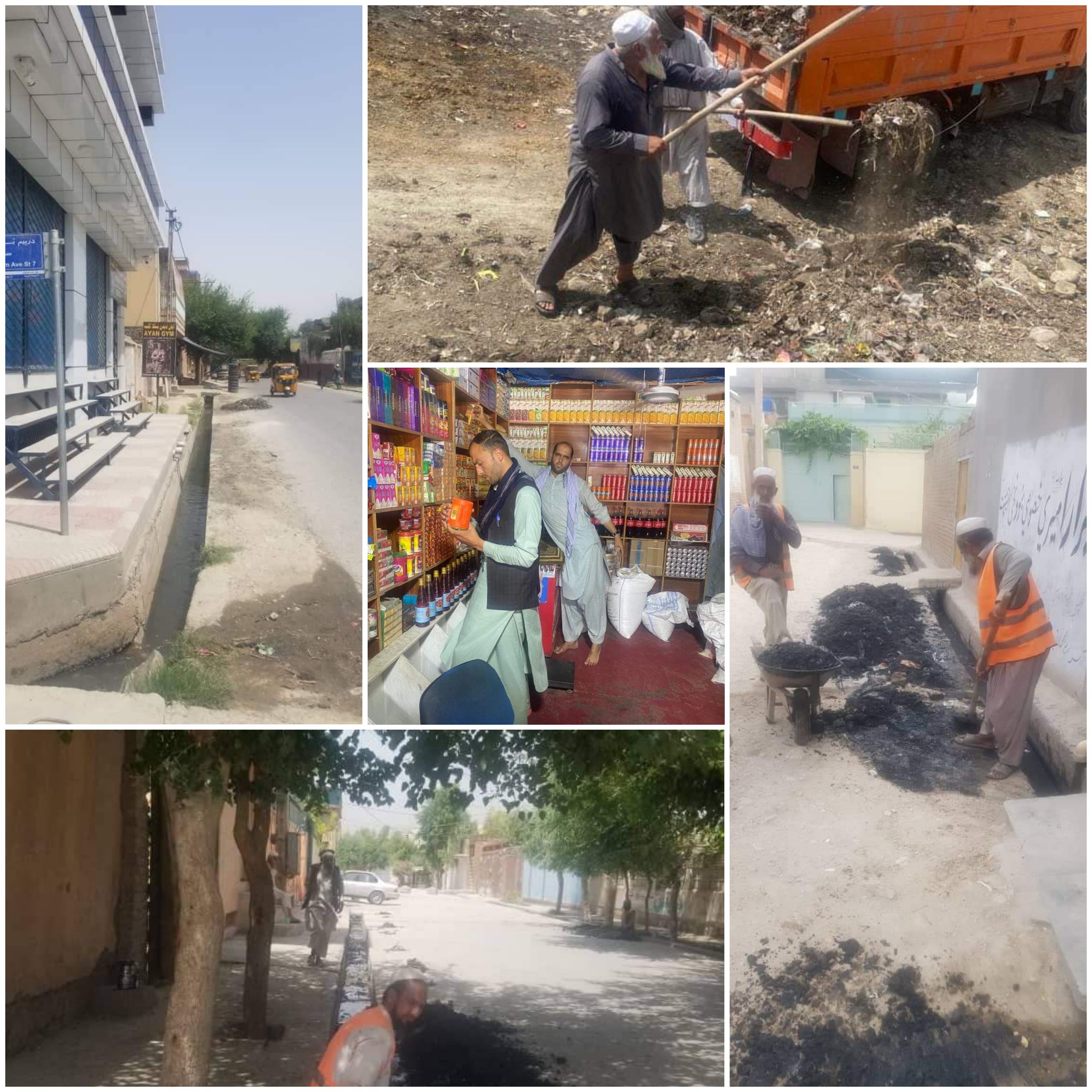 نیوس