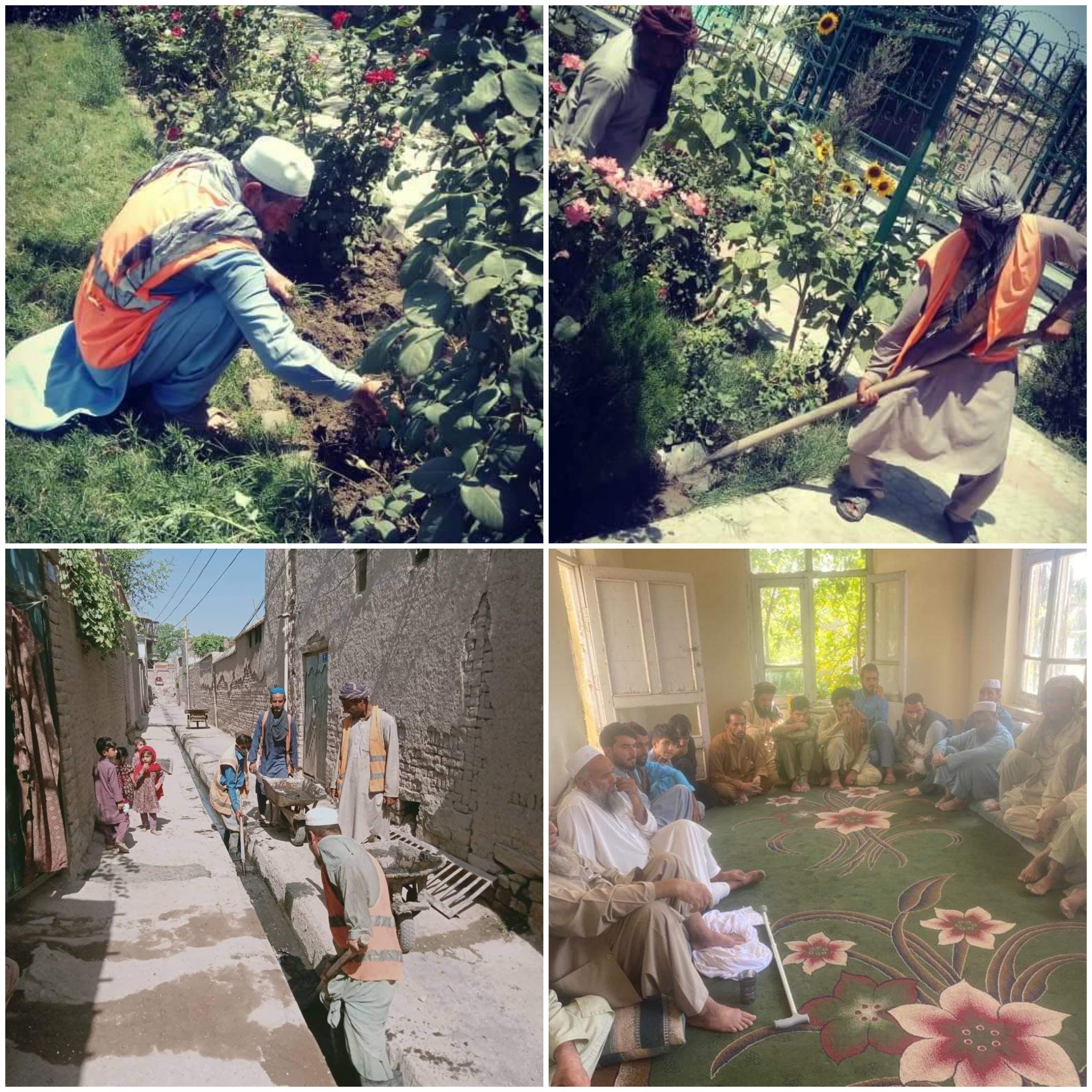 نیوز