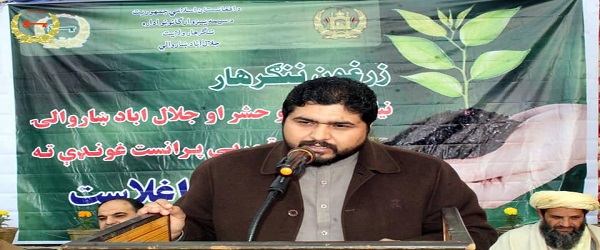  جلال اباد ښاروالۍ د لومړي ځل لپاره د زینتي او موسمي بوټو قوریه پرانیسته