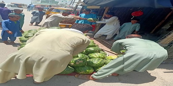 ښاري نظم په موخه جلال اباد ښار پنځمې ناحيې اړوند پلې لارې او د سرکونو غاړې تخليه شوې