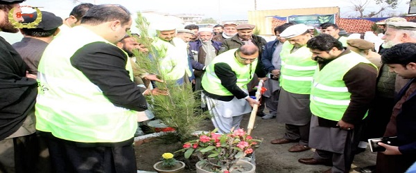  جلال اباد ښاروالۍ د لومړي ځل لپاره د زینتي او موسمي بوټو قوریه پرانیسته